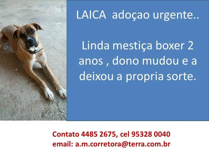 LAICA