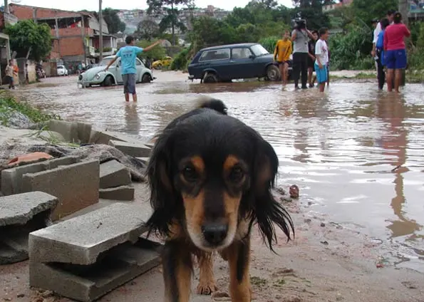 Foto: Divulgação 