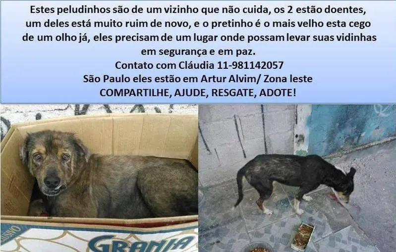 adoção especial