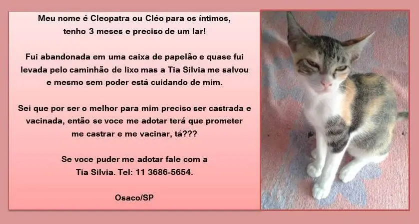 cléo