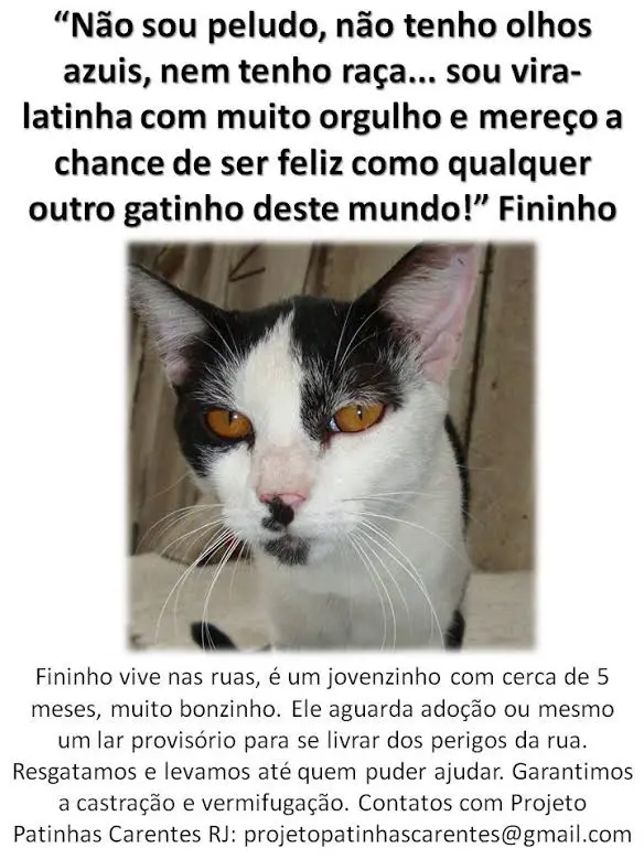 fininho