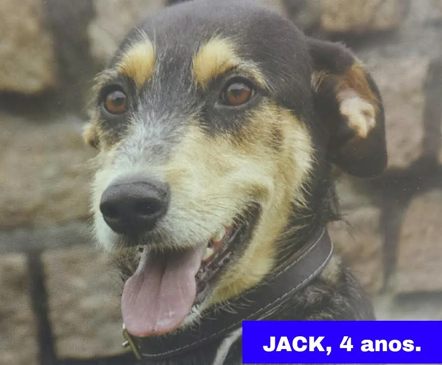 jack