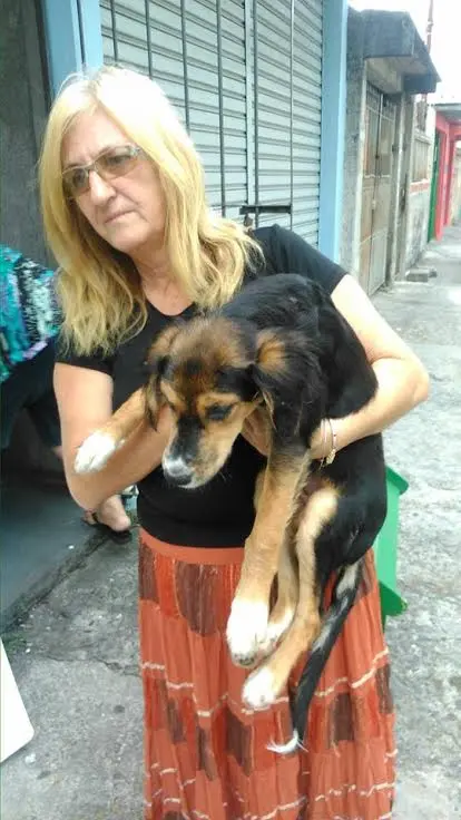 Foto: Divulgação