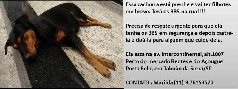 marilda