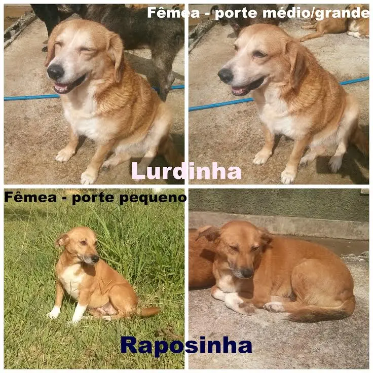 Fotos: Divulgação