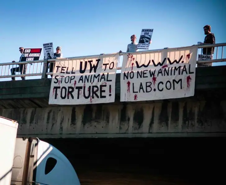 Ativistas protestaram no dia 8 de março com cartazes em estrada em Seattle