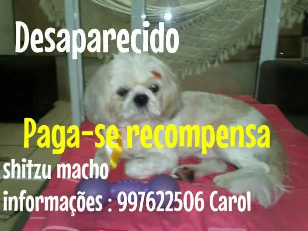 pava
