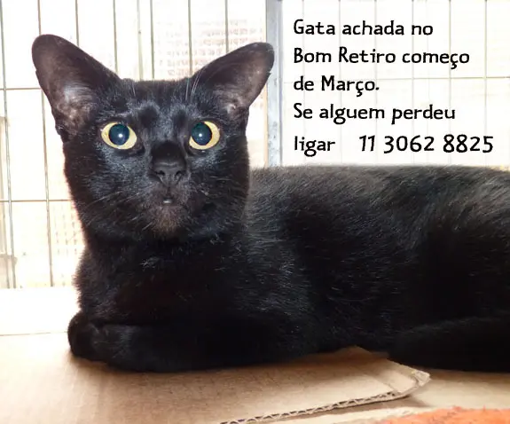 perdida
