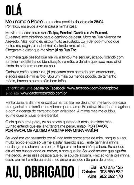 picolé 1