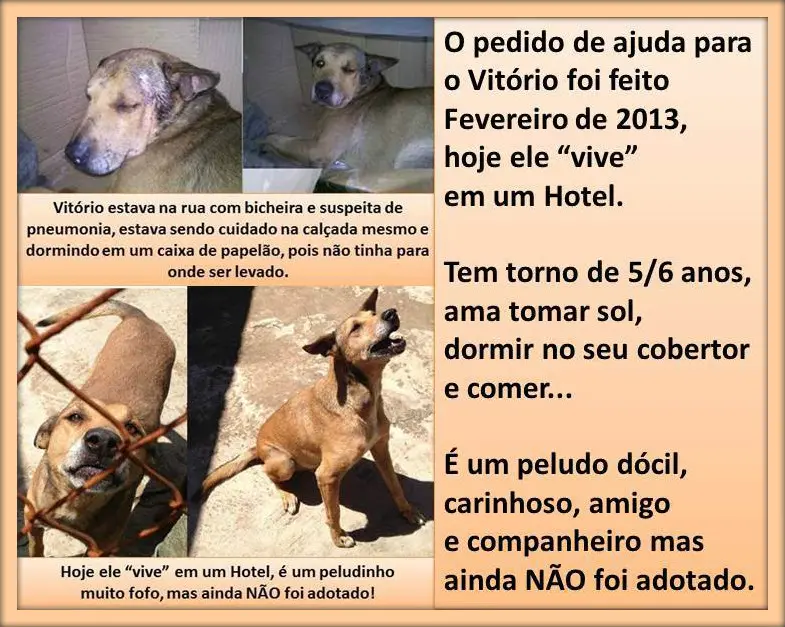 vitório