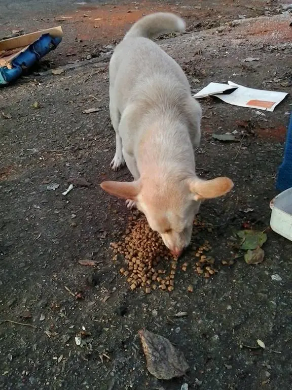 (Foto: Divulgação)