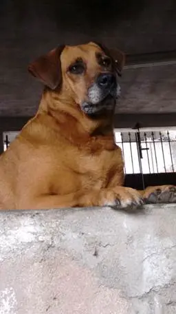 (Foto: Divulgação)