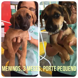 (Foto: Divulgação)