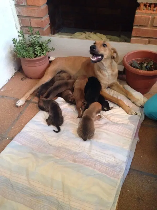 (Foto: Divulgação)