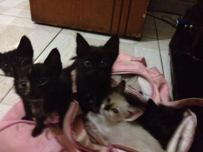 (Foto: Divulgação)