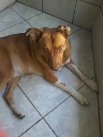 (Foto: Divulgação)