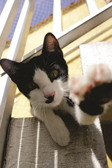 (Foto: Divulgação)