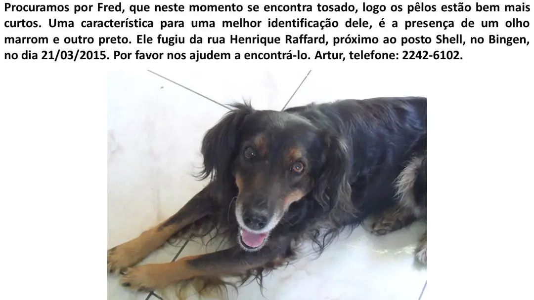 (Foto: Divulgação)