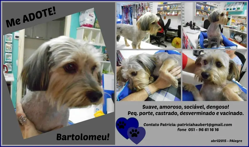 bartolomeu