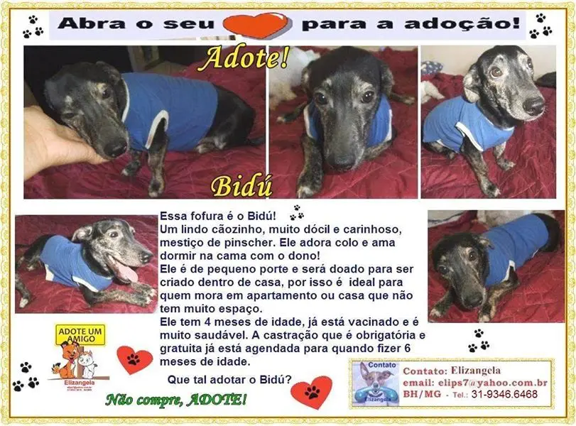 Foto: Divulgação 