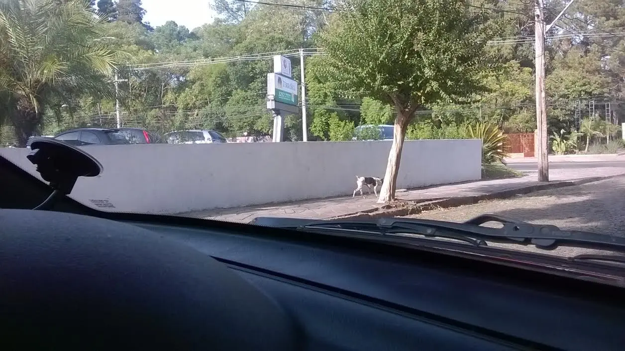 Foto: Divulgação 
