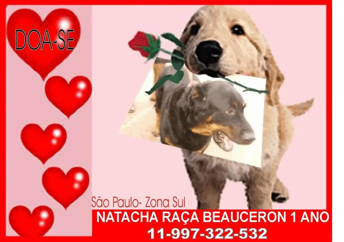 natacha