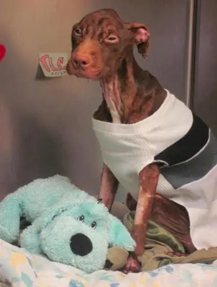 Patrick durante sua recuperação (Foto: Divulgação)