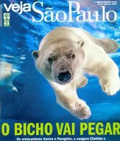 Capa Veja São Paulo 15 de abril de 2015