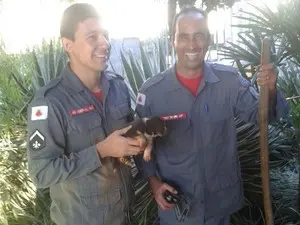 Foto: Corpo de Bombeiros/Divulgação