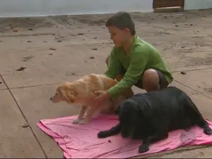 (Foto: Reprodução/ EPTV)