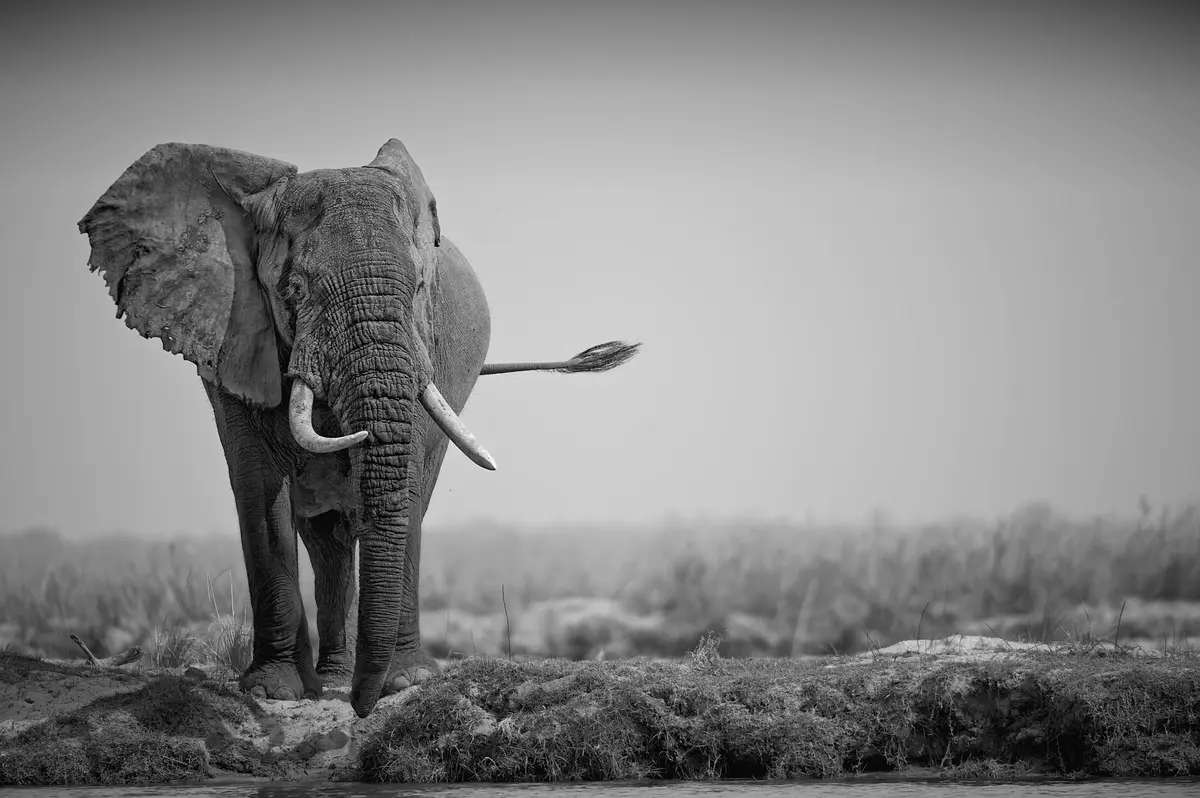Foto: Adrian Steirn