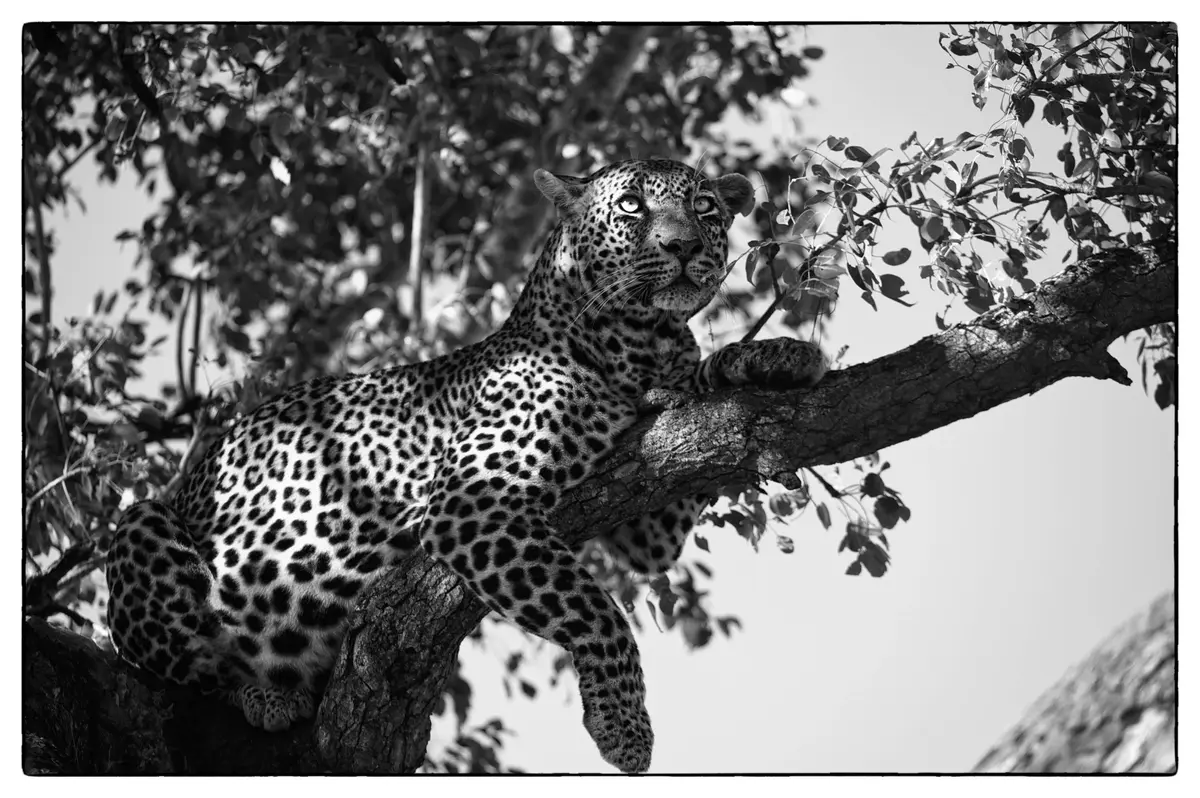 Foto: Adrian Steirn