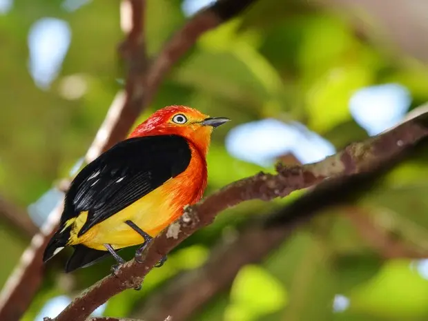 Foto: Clóvis Cruvinel/Arquivo Pessoal