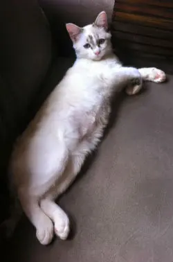 Foto: Arquivo pessoal