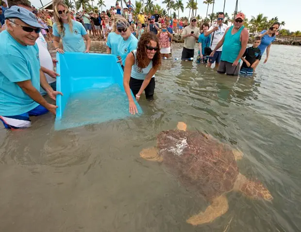 Foto: Andy Newman/Florida Keys News Bureau/AP