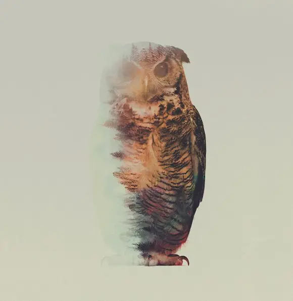 Foto: Andreas Lie