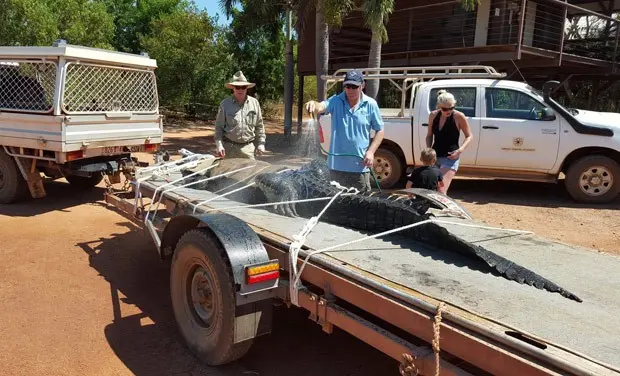 Foto: Reprodução/Facebook/Northern Territory Parks and Wildlife