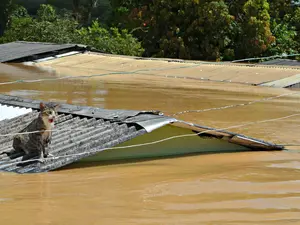 Foto: Caio Fulgêncio/G1