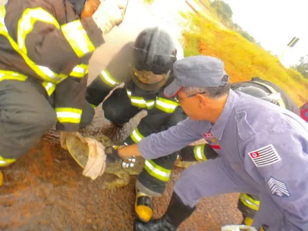 Foto: Corpo de Bombeiros/Divulgação