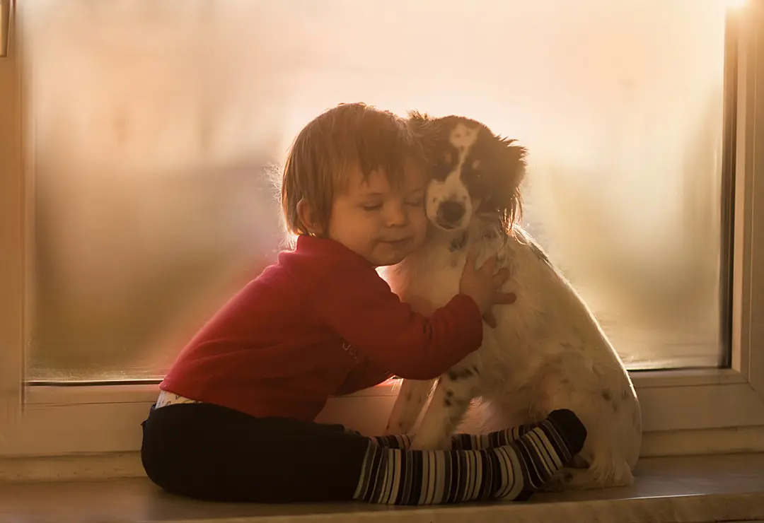 Foto: Agnieszka Gulczyńska 