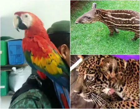 Foto: Divulgação