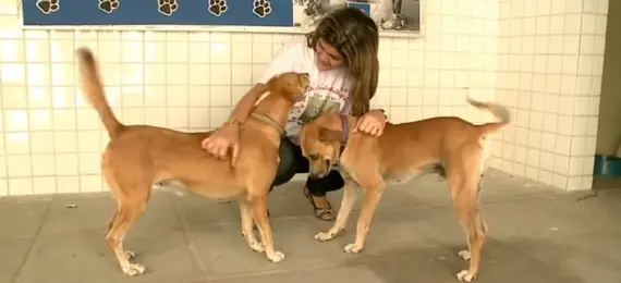 Foto: Reprodução/TV Jornal