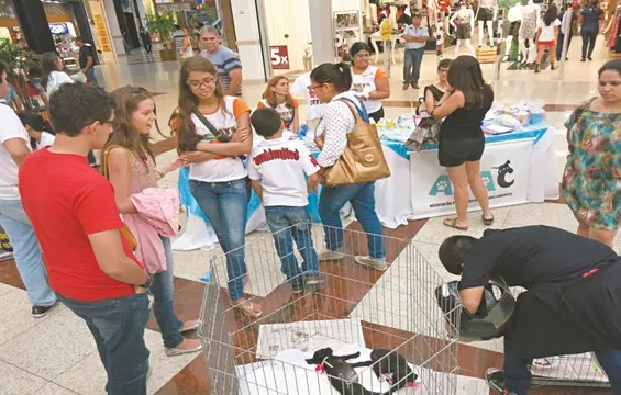 Foto: Divulgação