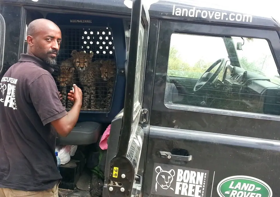 Foto: Born Free Foundation
