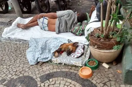 Cachorro dorme em caminha improvisada Reprodução/Facebook