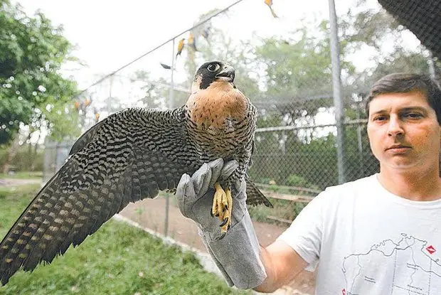 Centro de Triagem de Animais Silvestres, em Seropédica, administrado pelo Ibama, tem capacidade para abrigar mais de mil bichos Foto:  Fabio Gonçalves / Arquivo Agência O Dia