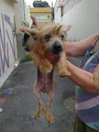Foto: Divulgação
