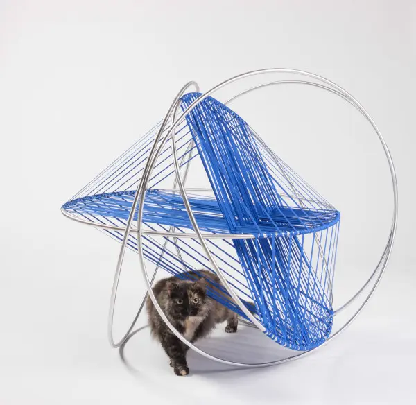Foto: Architects for Animals 