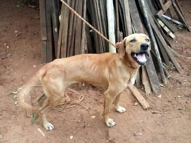 Foto: Thaís Carneiro / Arquivo pessoal