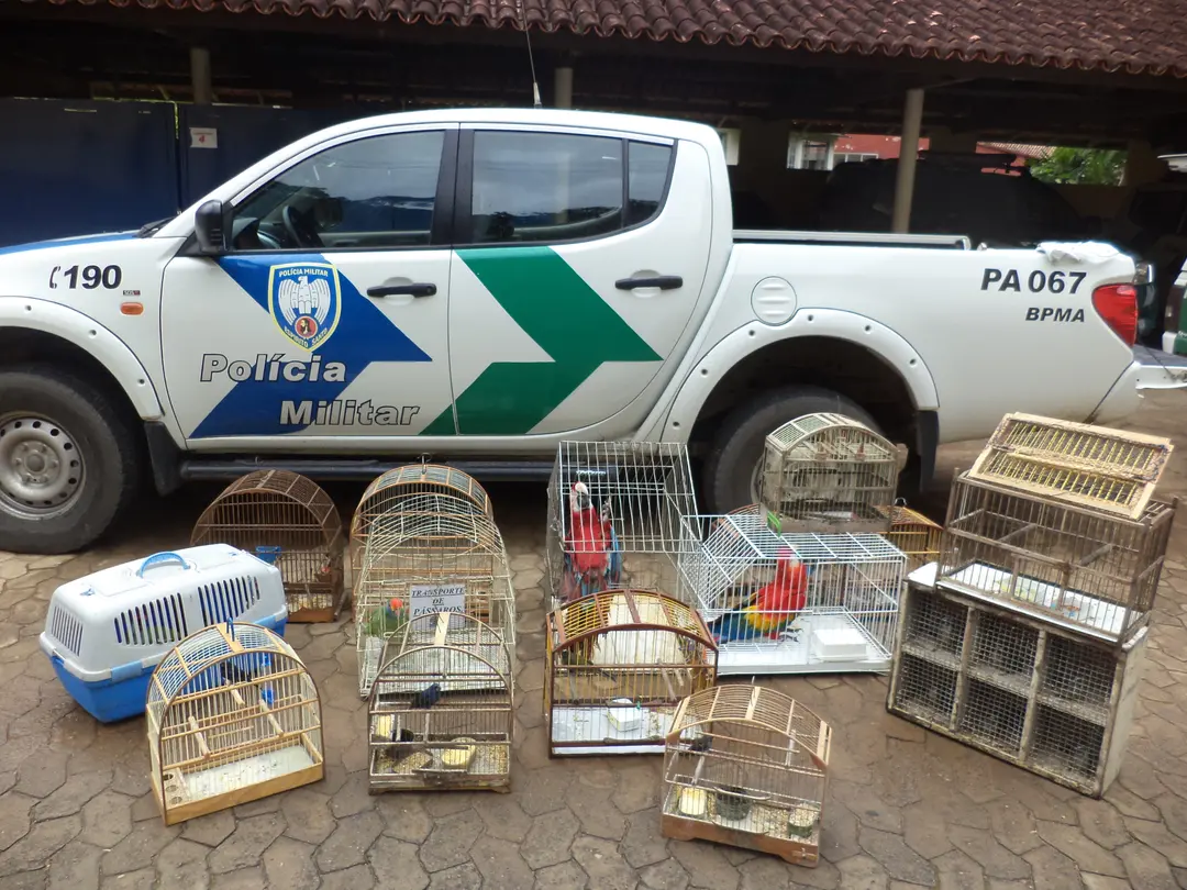 Foto: Divulgação/PMA